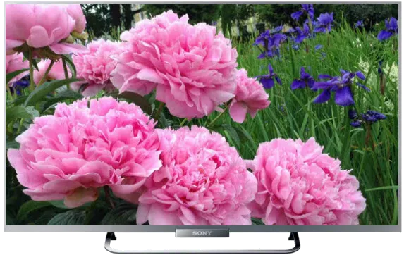 KDL-24W605A